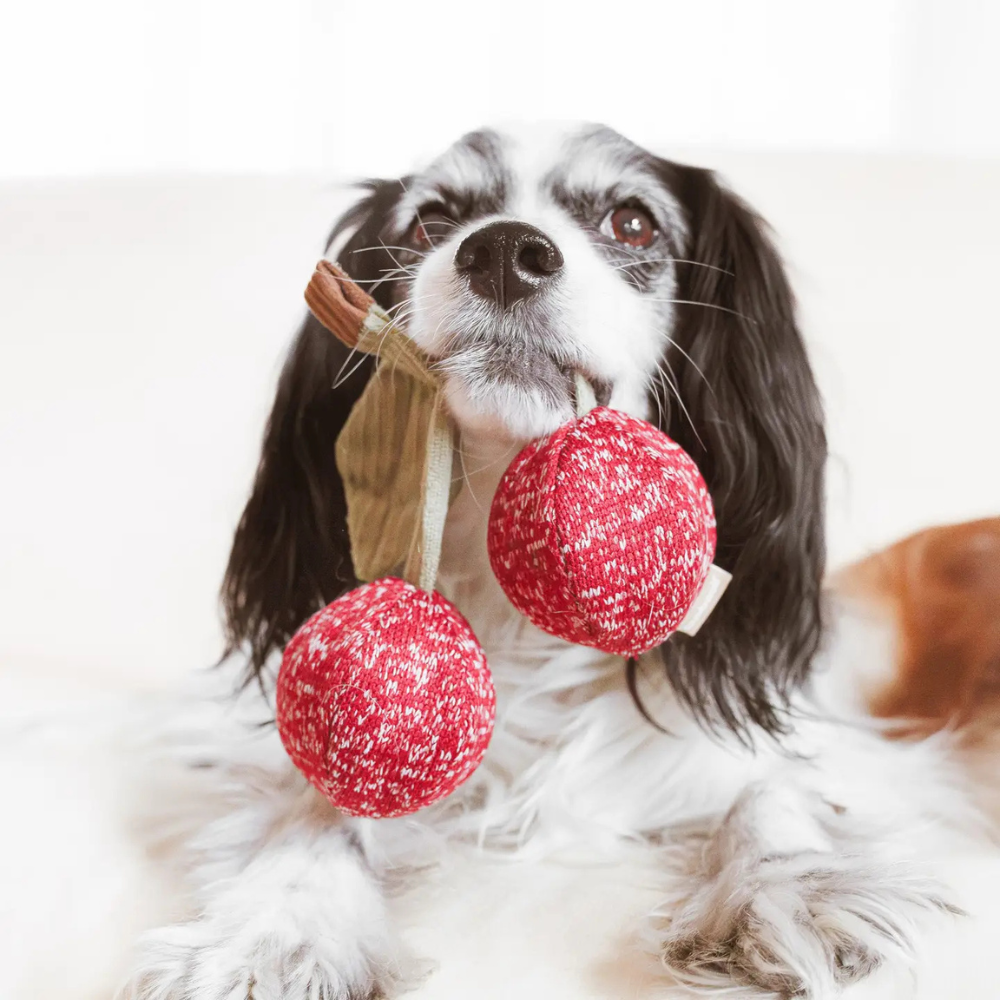 Hund mit Schnüffelspielzeug Kirsche Cherry Pop - Lambwolf Collective