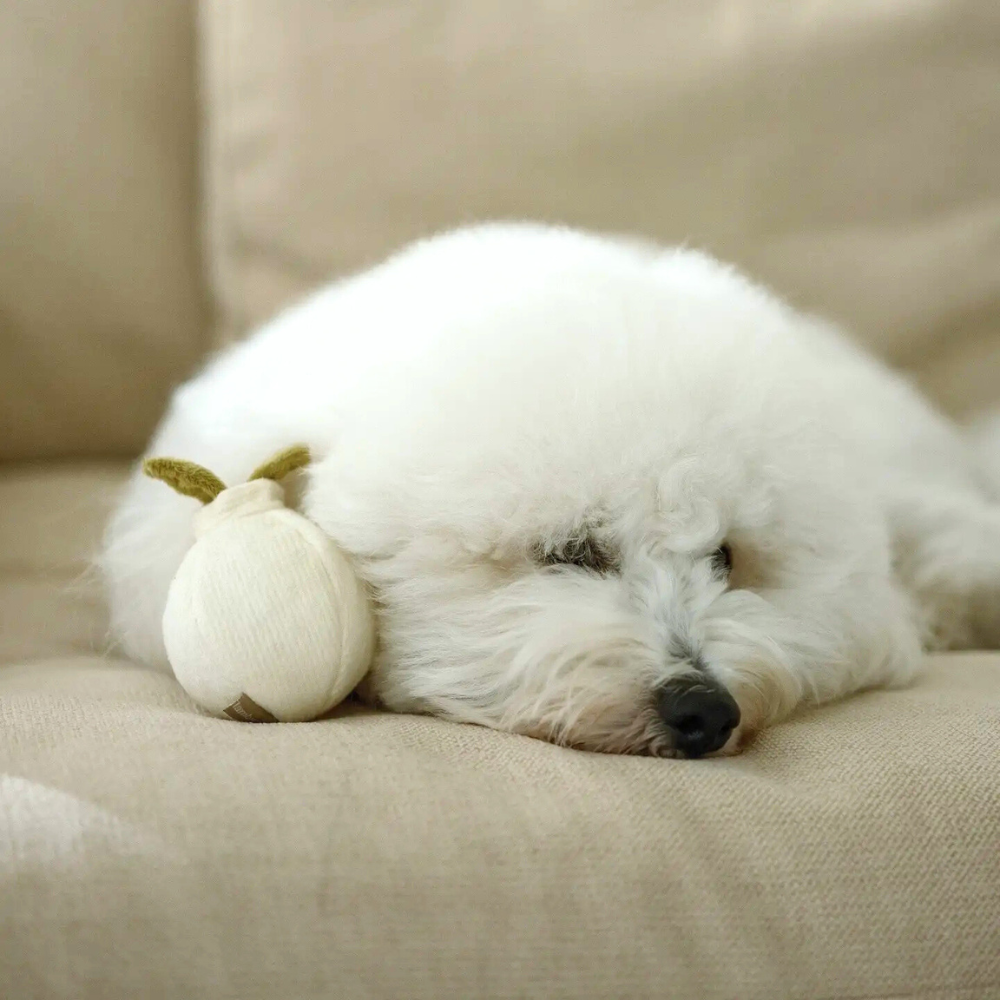 Hund neben Schnüffelspielzeug Knoblauch Garlic Pop - Lambwolf Collective