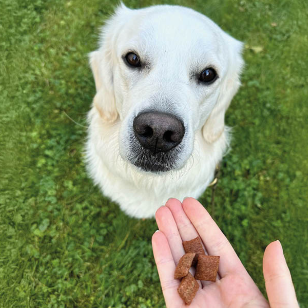 Hund & Beispielinhalt Leckerli Knusper Kissen Veggie - Fresco