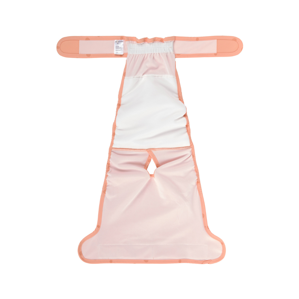 Innenseite Läufigkeitshöschen GLAN Peach - PALOPA