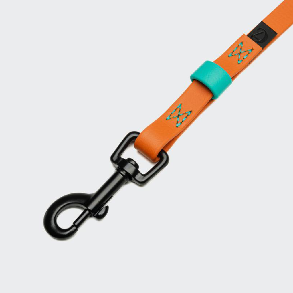 Karabiner Cloud7 Schleppleine BioThane Ipanema Orange-Aqua