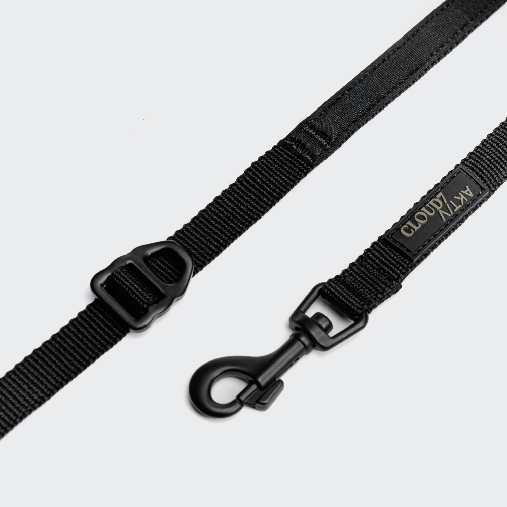 Karabiner-Befestigung Cloud7 AKTIV Handsfree Hundeleine L-1 Black Größe S