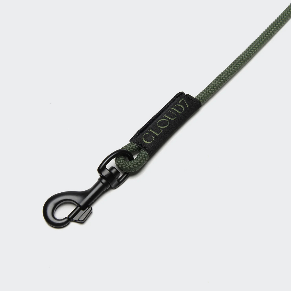 Karabiner Cloud7 LTTL Seilleine Dark Olive