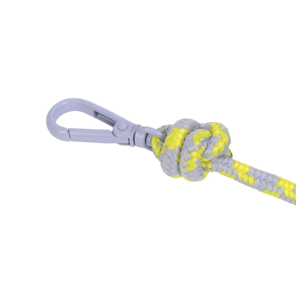Karabiner Ersatz-Schultergurt für Leckerlibeutel PURPLE NEON GELB - PALOPA