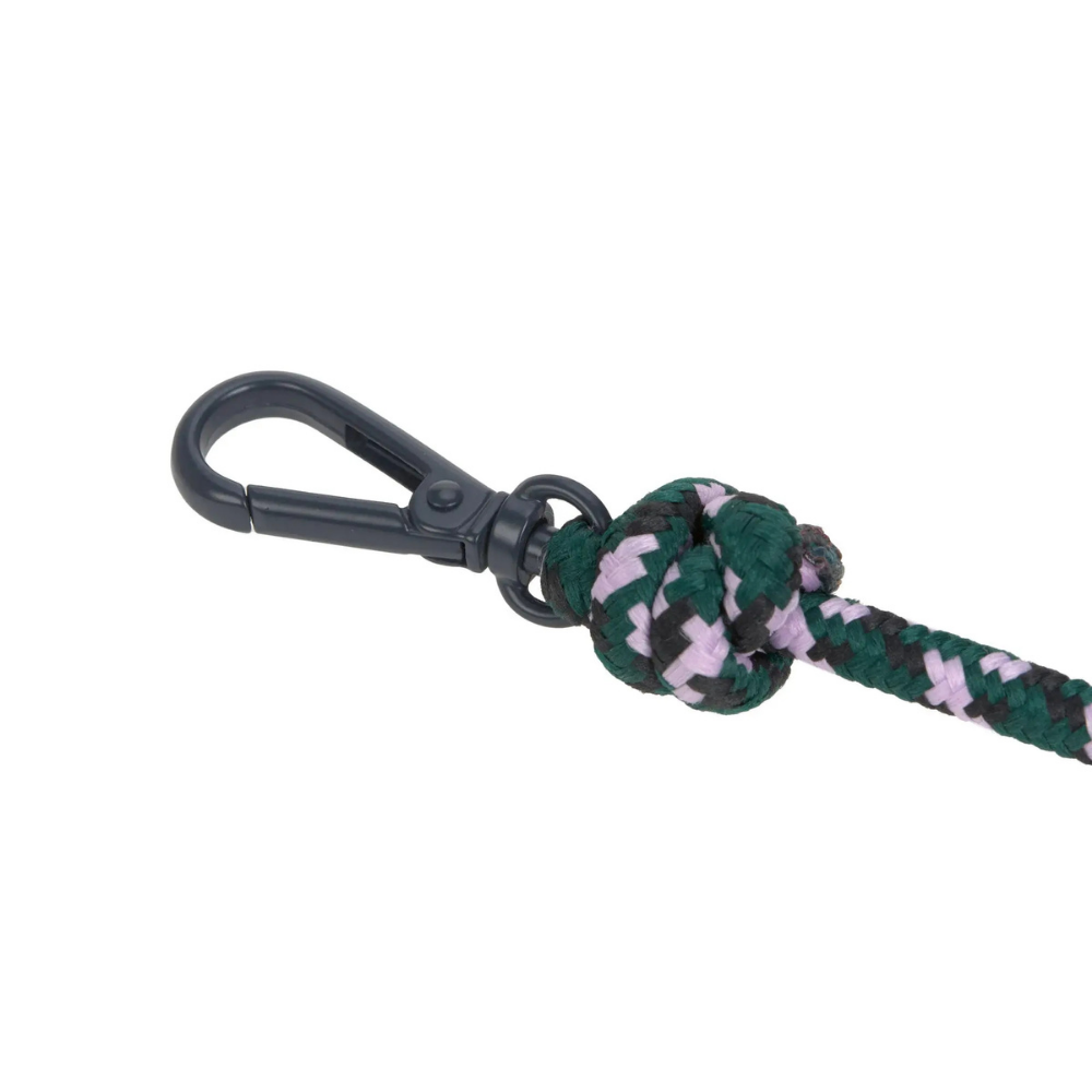 Karabiner Ersatz-Schultergurt für Leckerlibeutel SCHWARZ DUNKELGRÜN PURPLE - PALOPA
