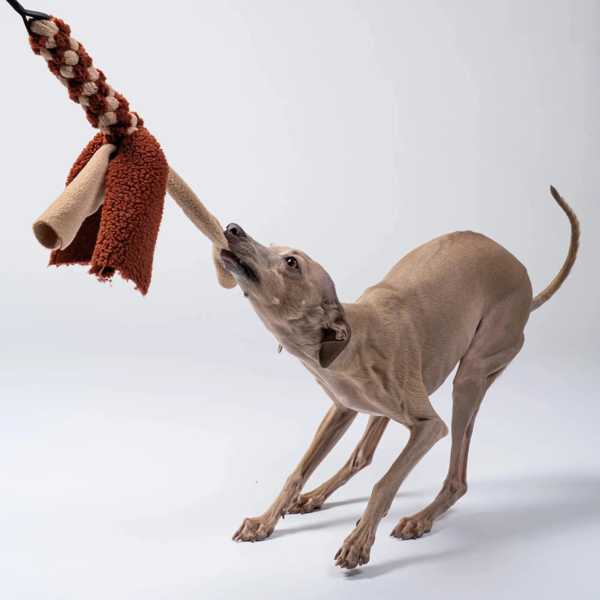 KARMA HUND Bungee-Tau Teddy Camel Brown