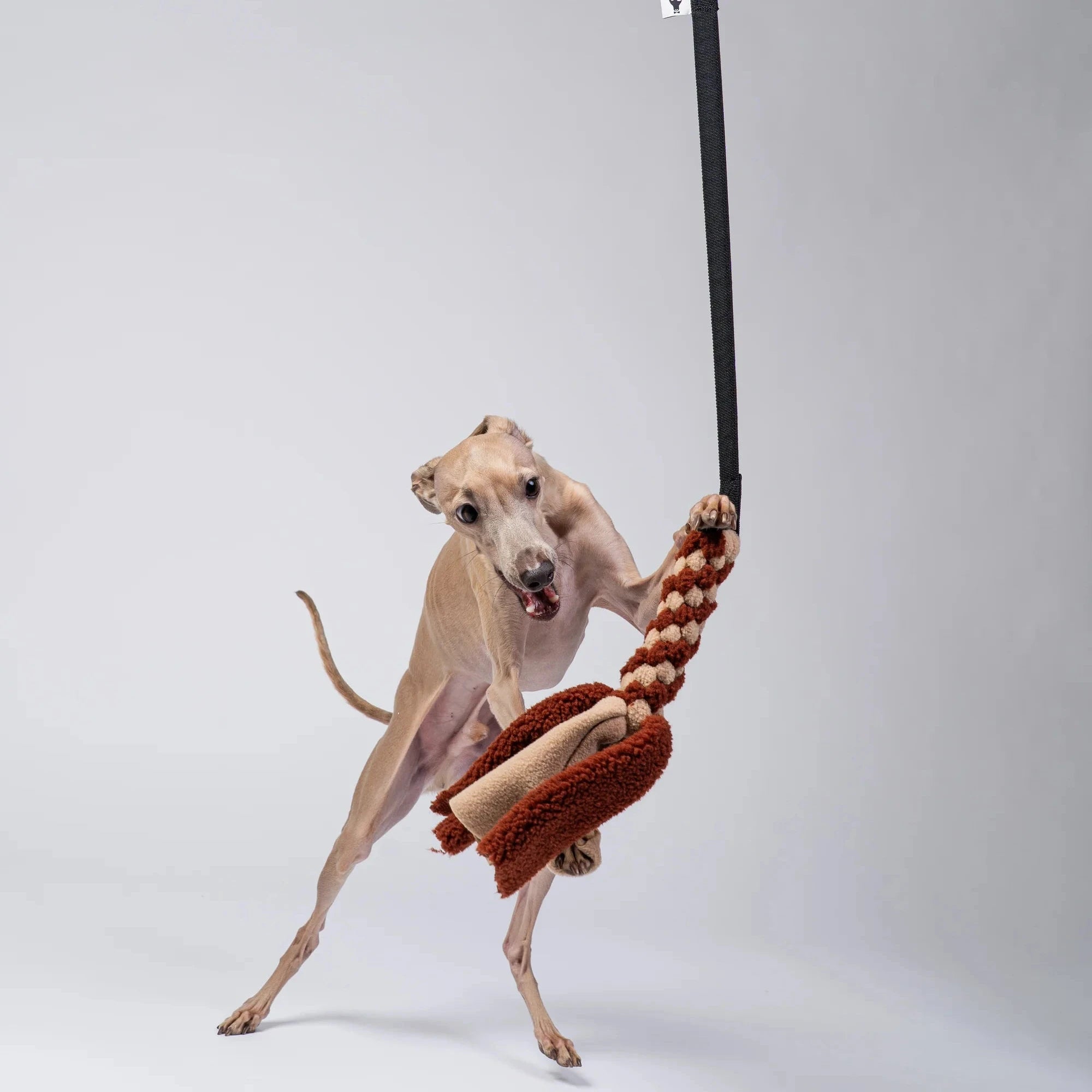 KARMA HUND Bungee-Tau Teddy Camel Brown