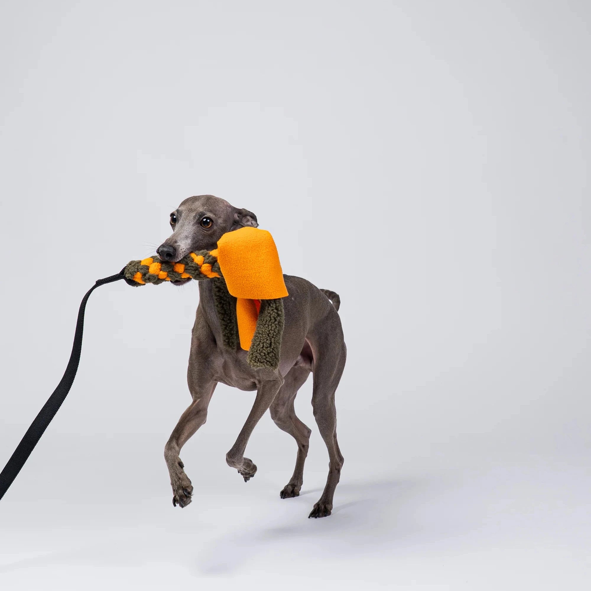 KARMA HUND Bungee-Tau Teddy Oliv Orange