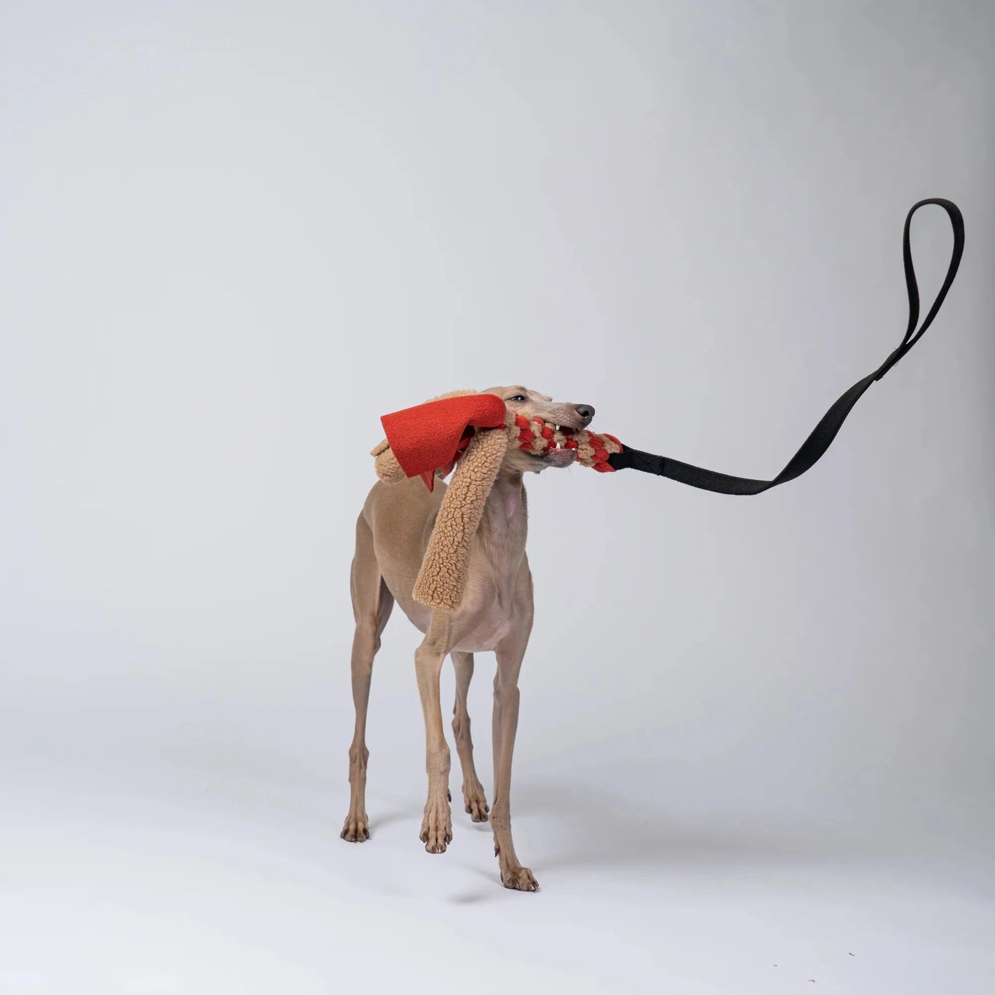 KARMA HUND Bungee-Tau Teddy Camel Terracotta