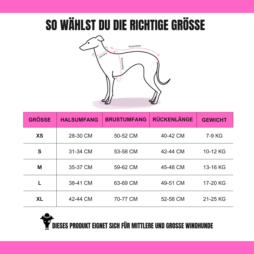 KARMA HUND Longshirt 2.0 für Whippet, Windhunde, Podenco, Galgo in Leo