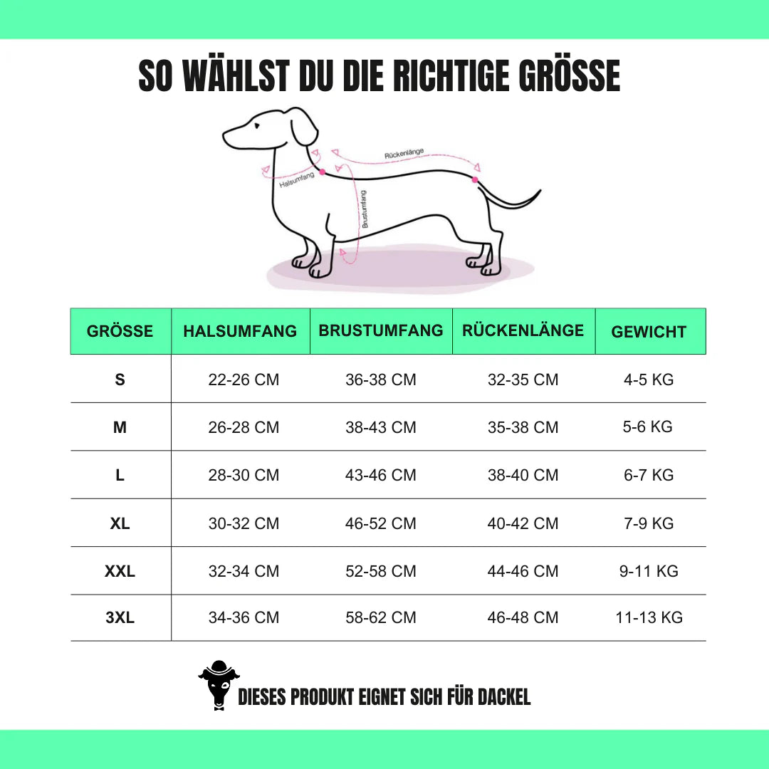 KARMA HUND Longshirt 2.0 für Dackel in Bordeaux