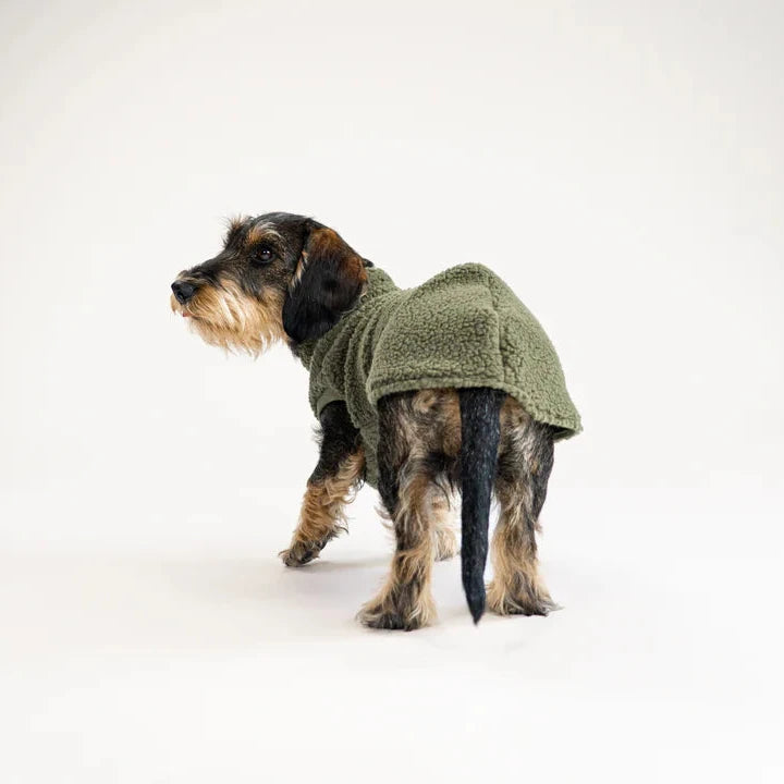 KARMA HUND Teddy Shirt 2.0 für Dackel in Dark Olive