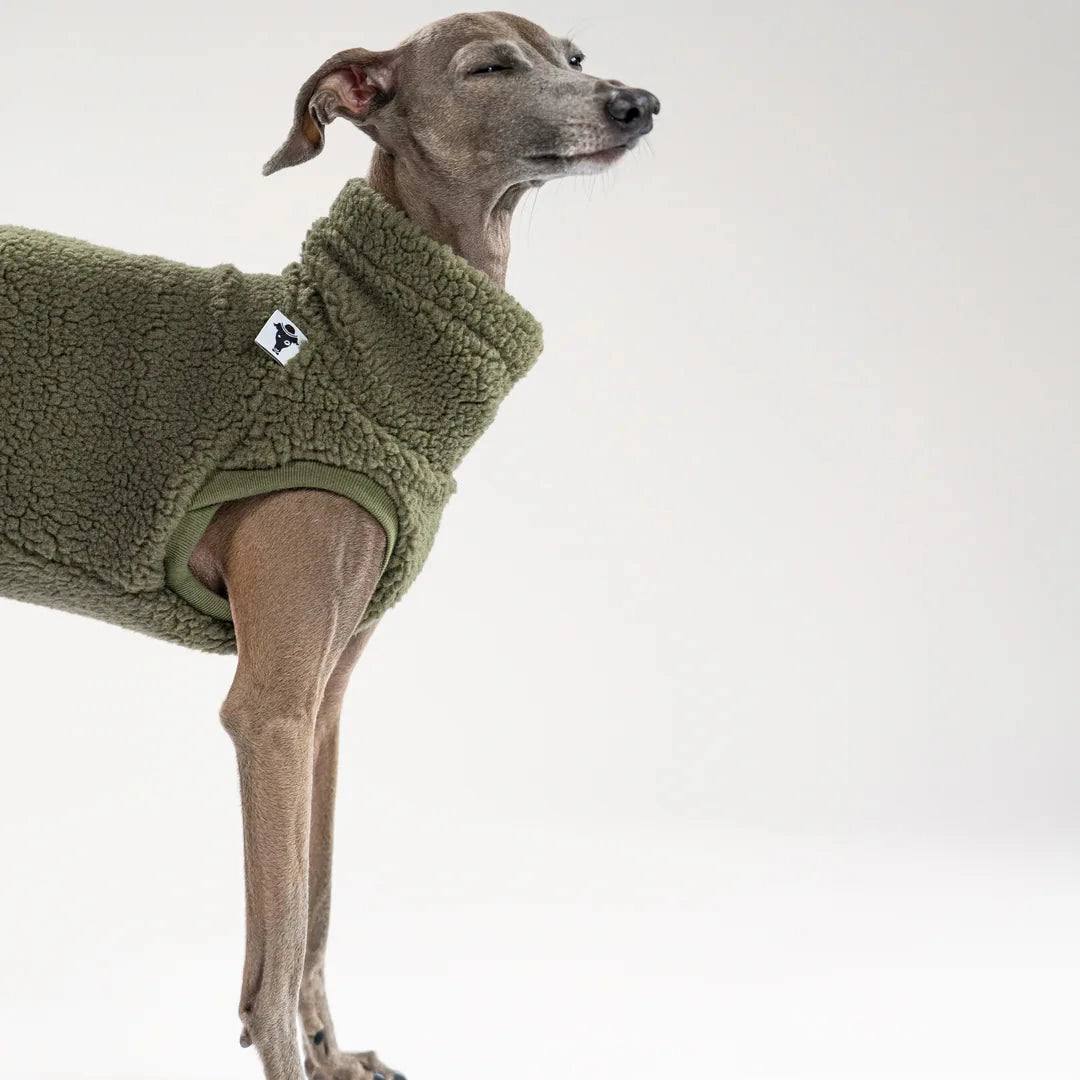 KARMA HUND Longshirt Teddy 2.0 für Windhunde in Dark Olive