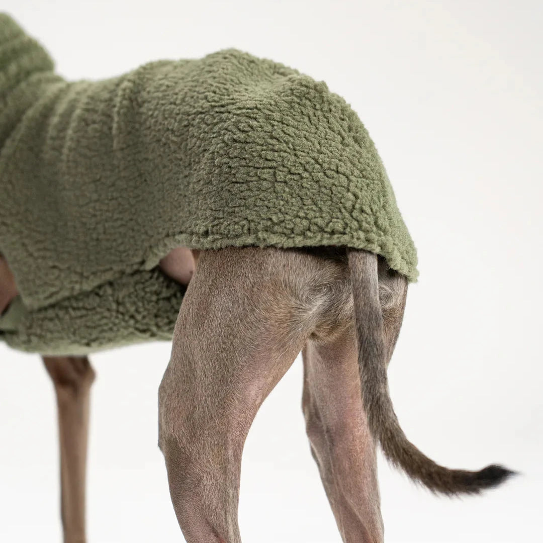 KARMA HUND Longshirt Teddy 2.0 für Windhunde in Dark Olive