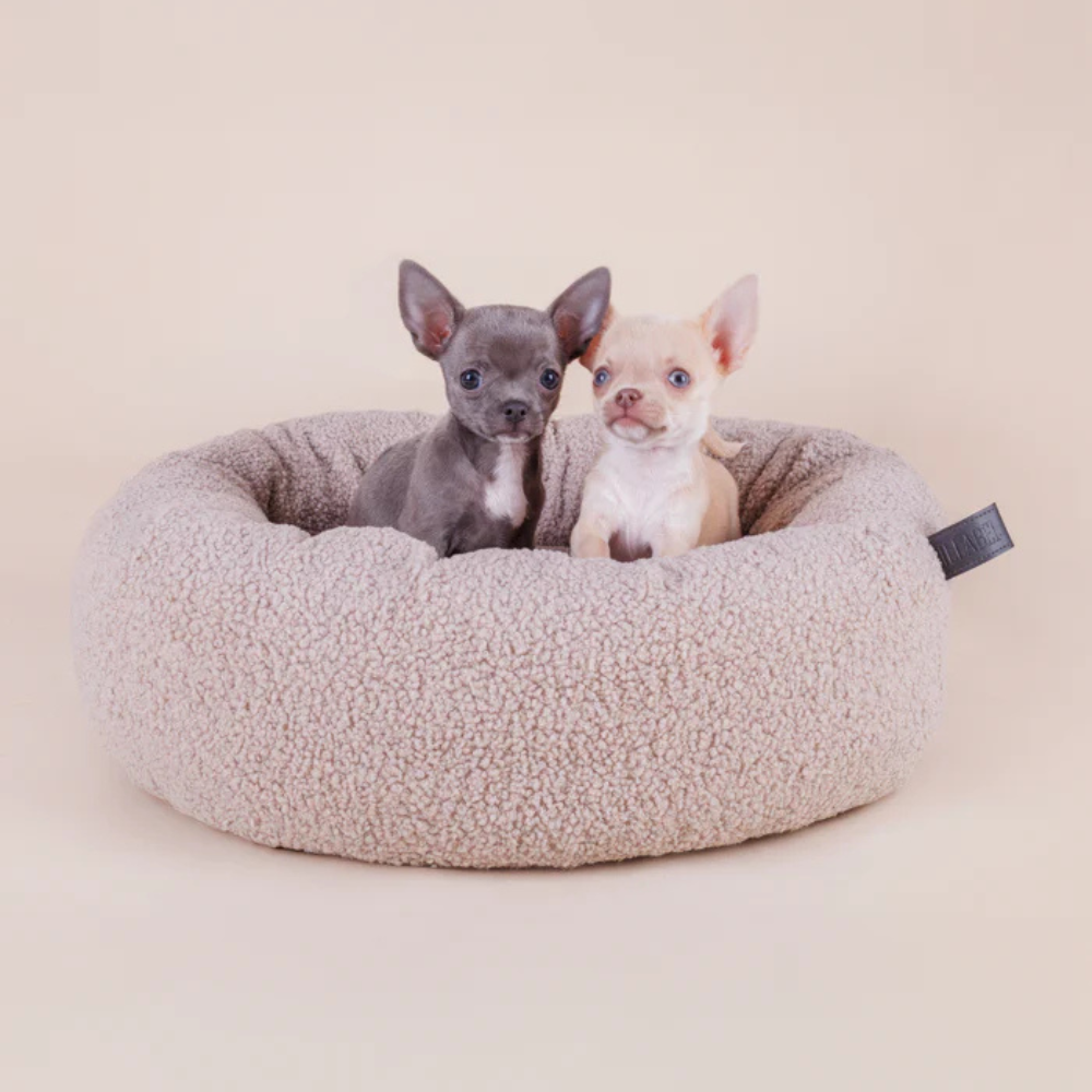 Kleine Hunde in Hundebett NEST aus Bouclé in Oak Milk - Lillabel
