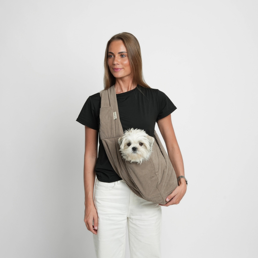 Kleiner Hund in Ava Hundetragetasche Cord Beige - staey