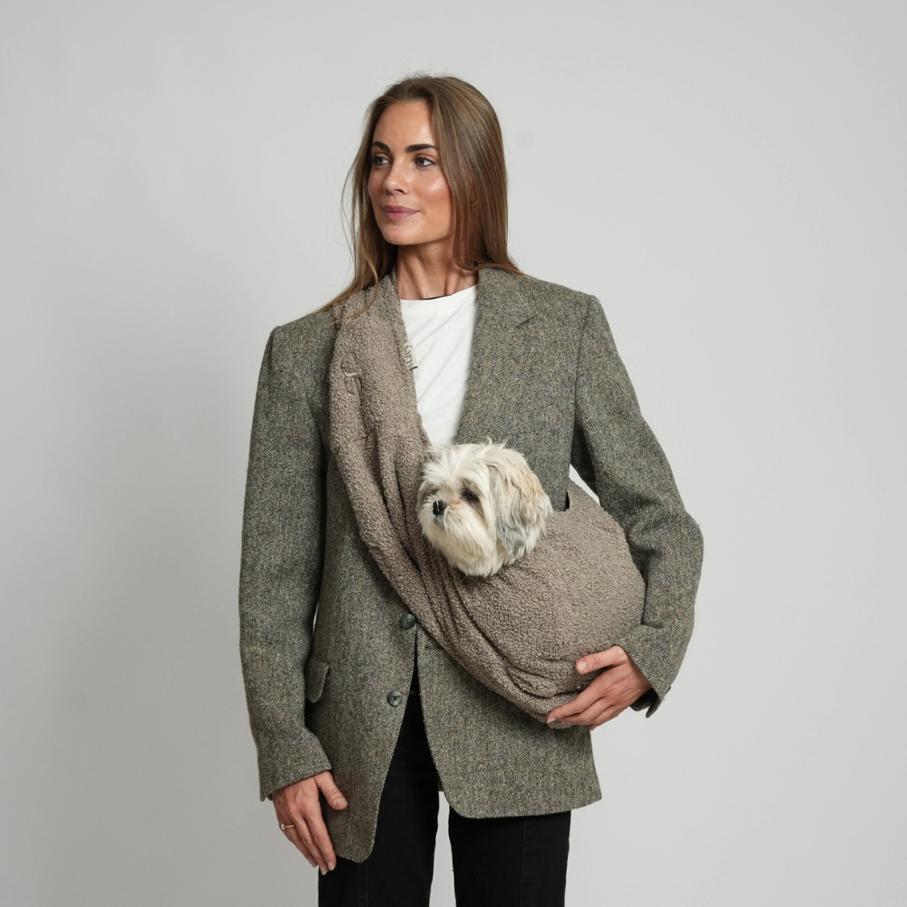 Kleiner Hund in Ava Hundetragetasche Teddy Beige - staey