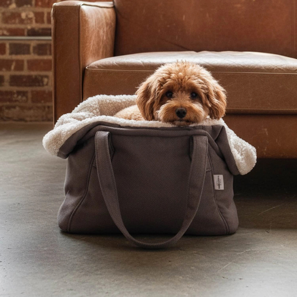 Kleiner Hund in Hundetasche Madison stone - Dogs in the City