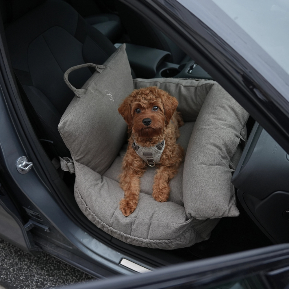 Kleiner Hund in Lara 3‑in‑1‑Autositz Taupe tragbare Tasche - staey