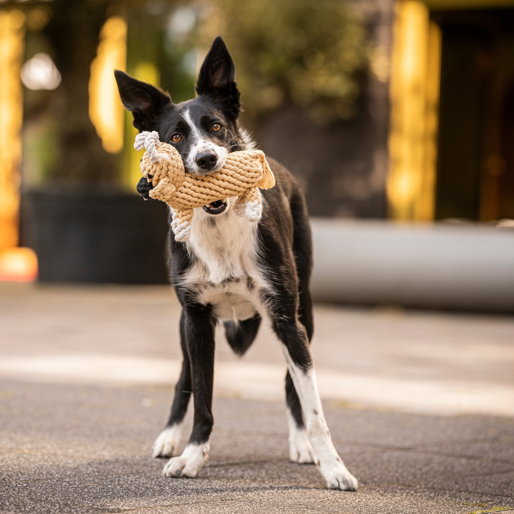 LABONI Hundekauspielzeug MAMA MOO Kuh in Schnauze