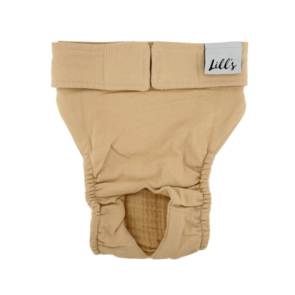 Läufigkeitshöschen LOU aus Bio-Baumwolle SAND - lill's