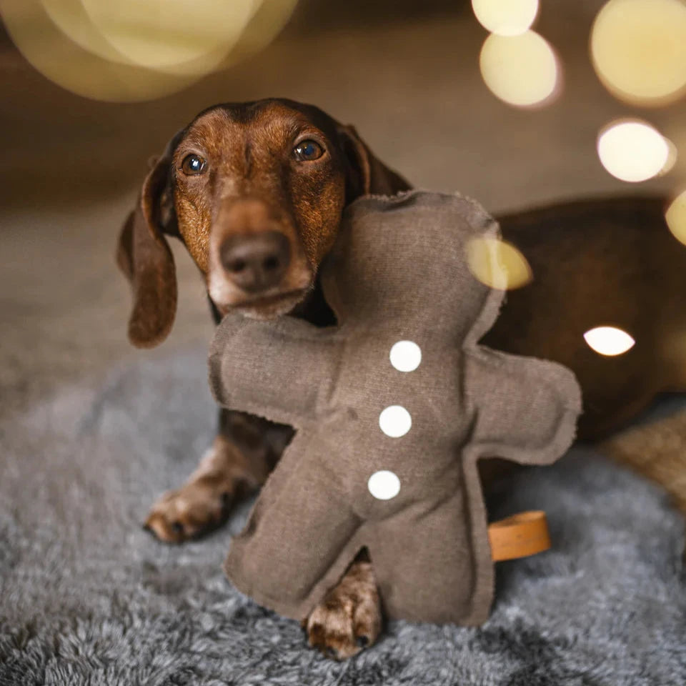 Hund mit Hundespielzeug Lebkuchenmann - Lieblingspfote