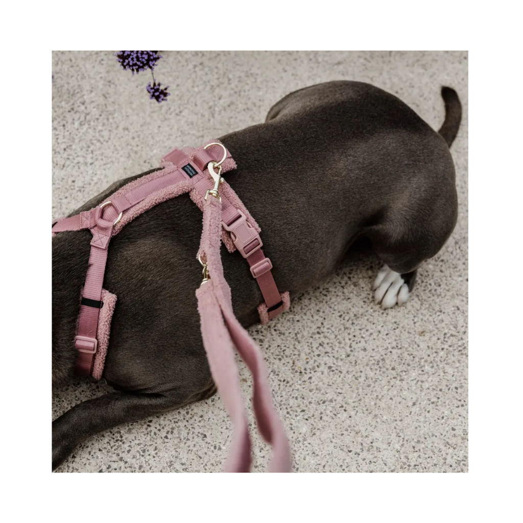 Hudn an Hundeleine verstellbar TEDDY FLEECE Rosa 200 cm - Kentucky Dogwear