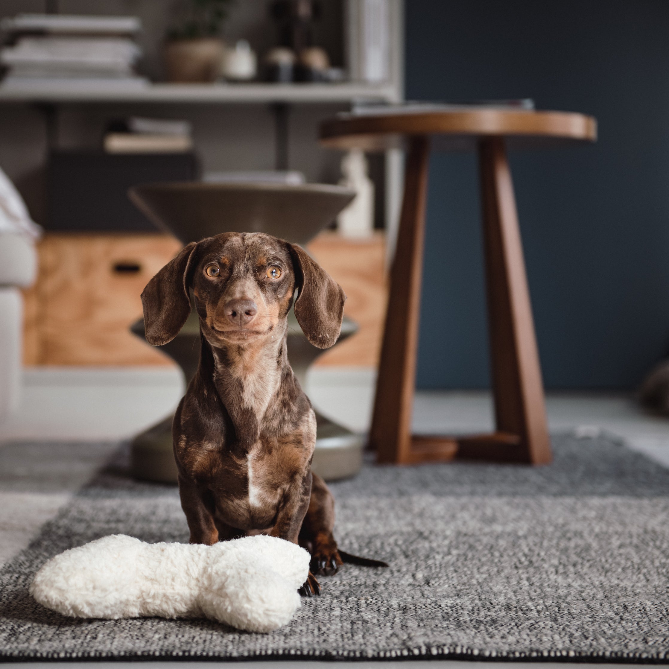 Cloud7 Hundespielzeug Plüsch Love Bone Weiß