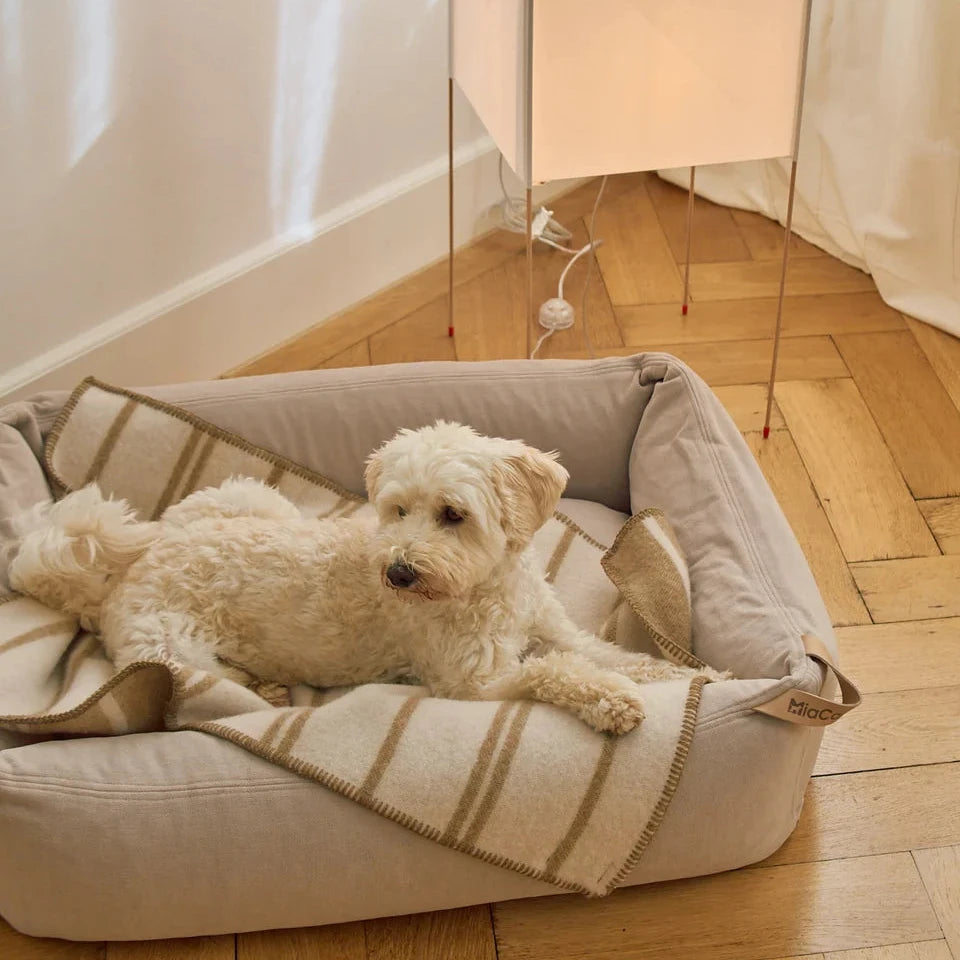 MiaCara RIGATO Hundedecke aus Wolle Chai-Creme