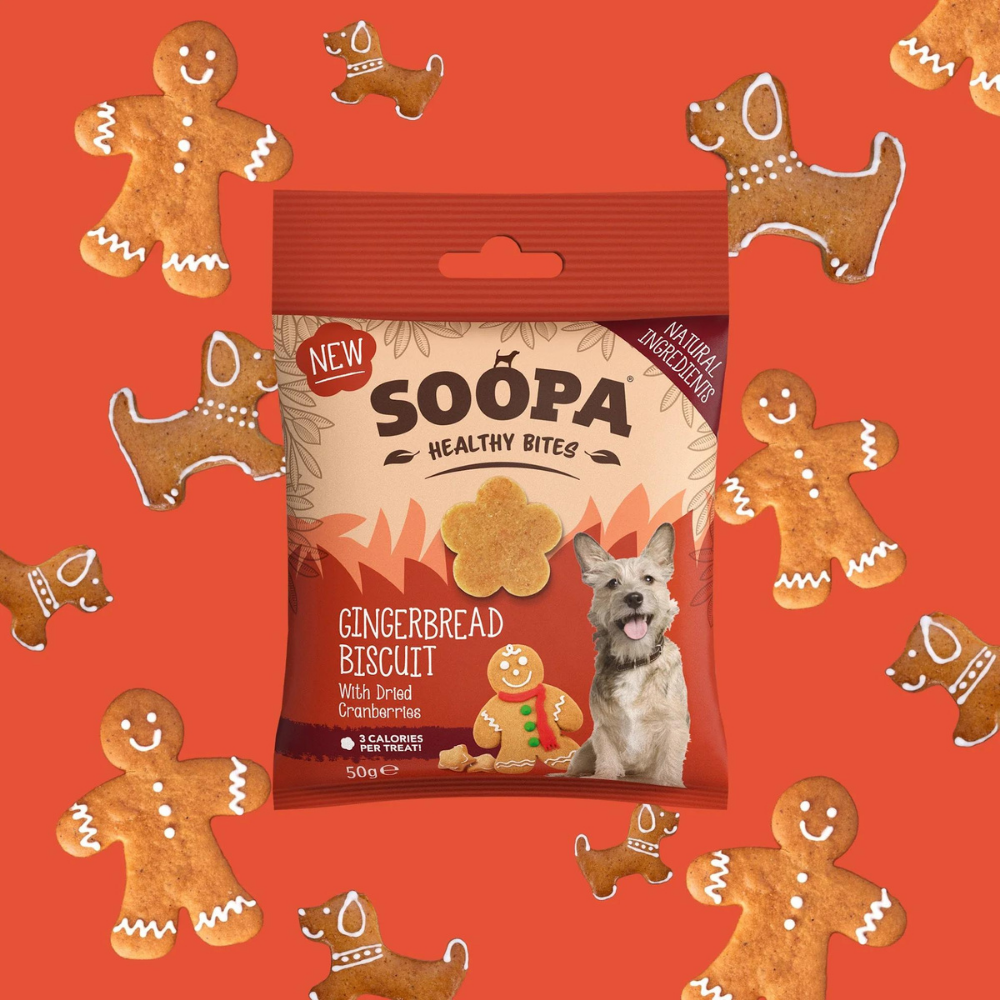 Moodbild Hundeleckerli Gingerbread Biscuit Healthy Bites - Soopa