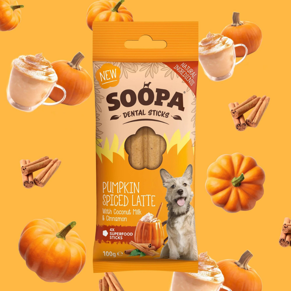 Moodbild Hundeleckerli Kürbis Spiced Latte Dental Sticks - Soopa