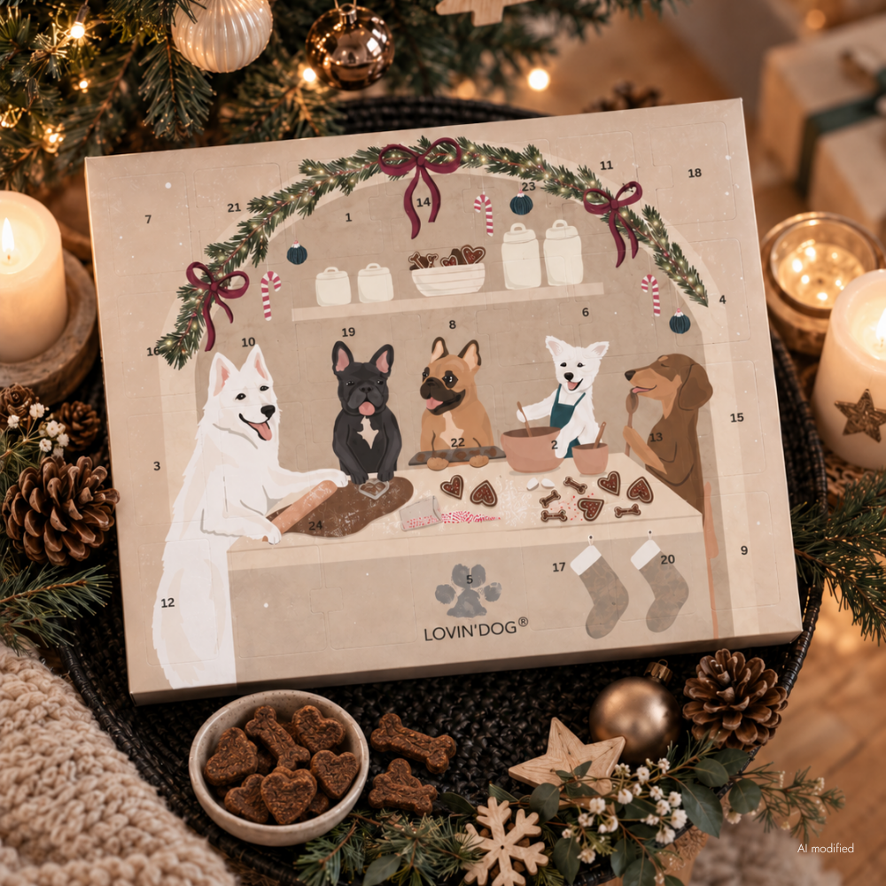 Hunde Adventskalender 2026 "Christmas in the Dog Bakery" Moodbild - LOVIN'DOG