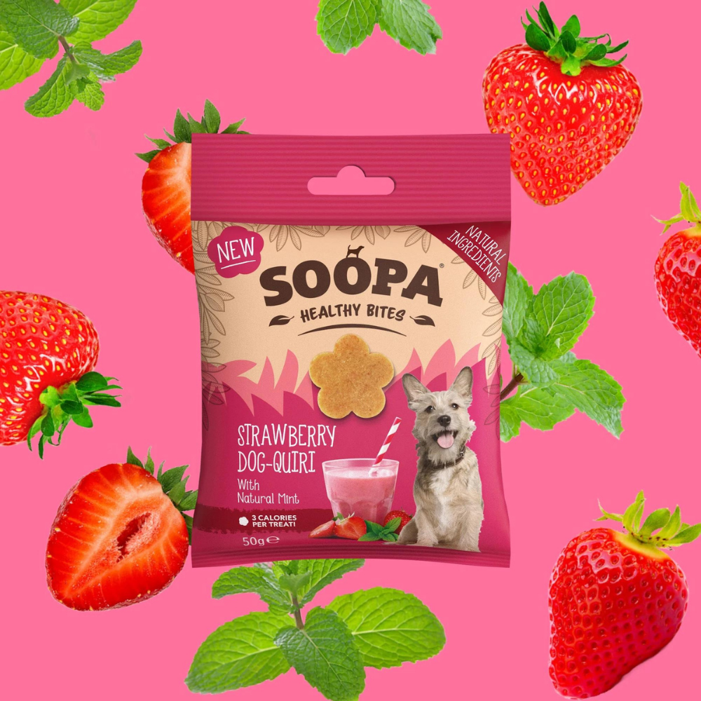 Moodbild Hundeleckerli Erdbeer-Hunde-Quiri Healthy Bites - Soopa