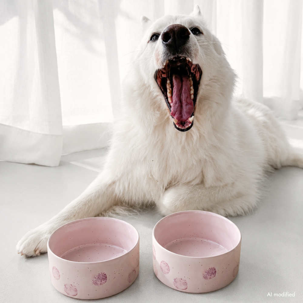 Moodbild Hundenapf POP DOT Rosa - egg back home