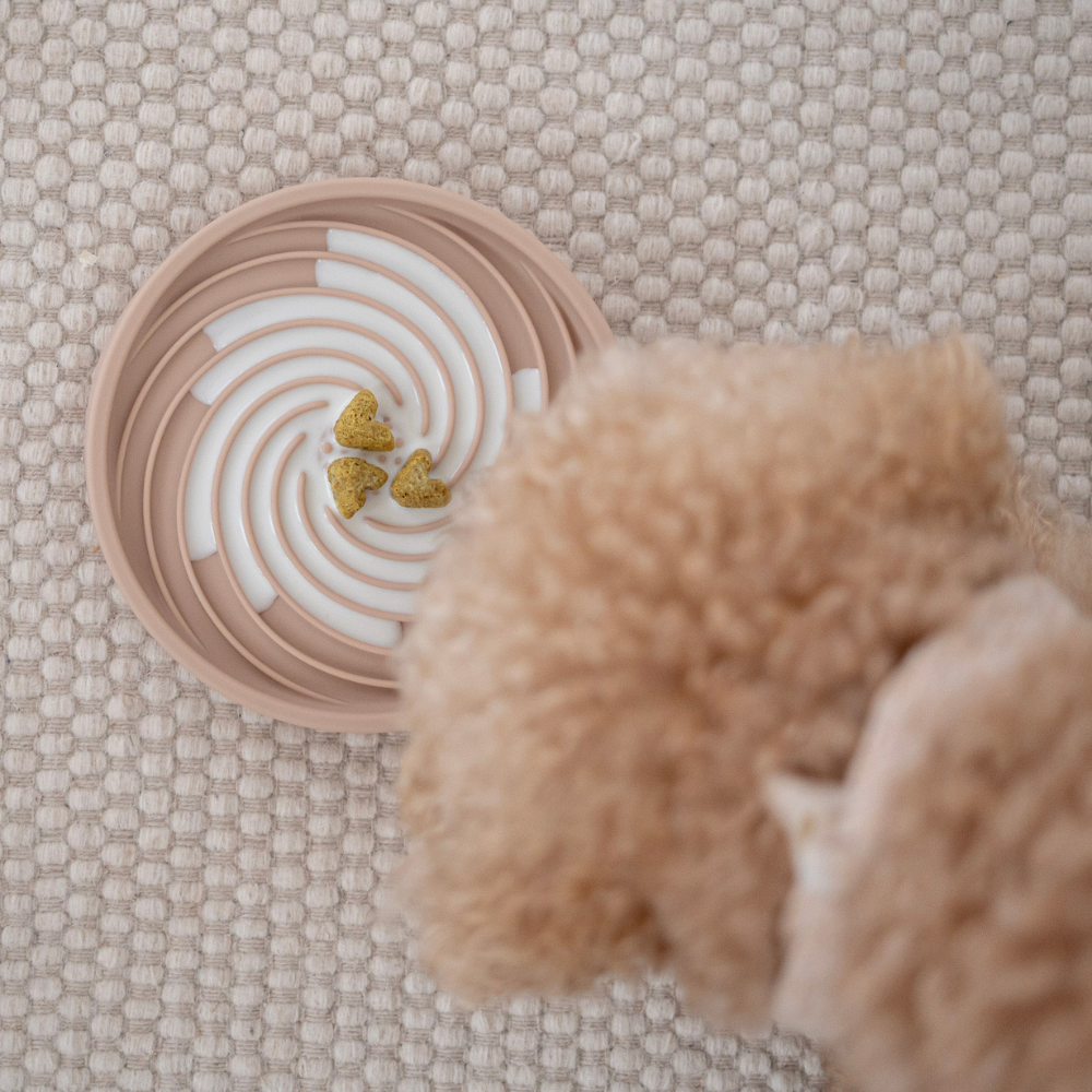 Moodbild mit Essen 2er-Set Slow Feeder Bowl & Lick Mat AIR Nude - LOVIN'DOG