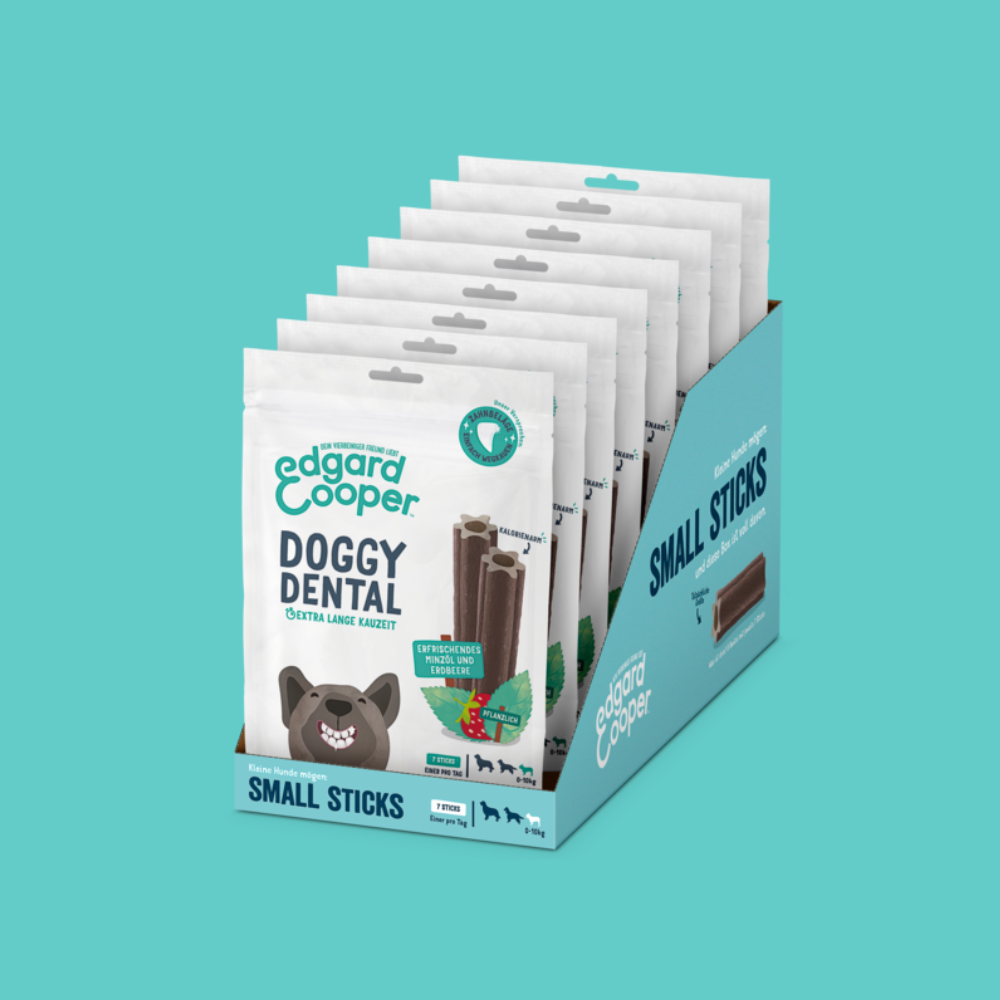 Multipack Kaustange Doogy Dental Minze & Erdbeere - Edgard & Cooper