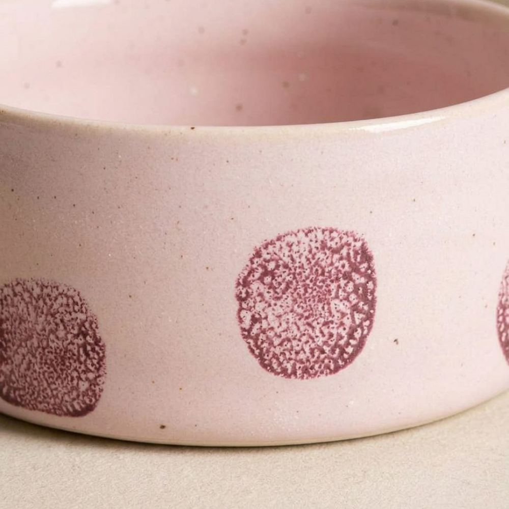 Nahaufnahme Hundenapf POP DOT Rosa - egg back home