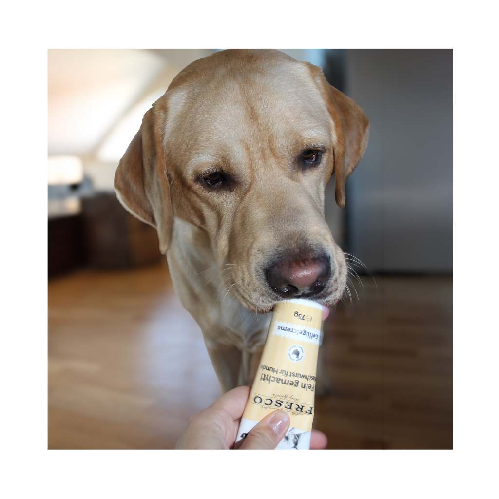 Hund an Futtertube Naschwurst Geflügelcreme - FRESCO