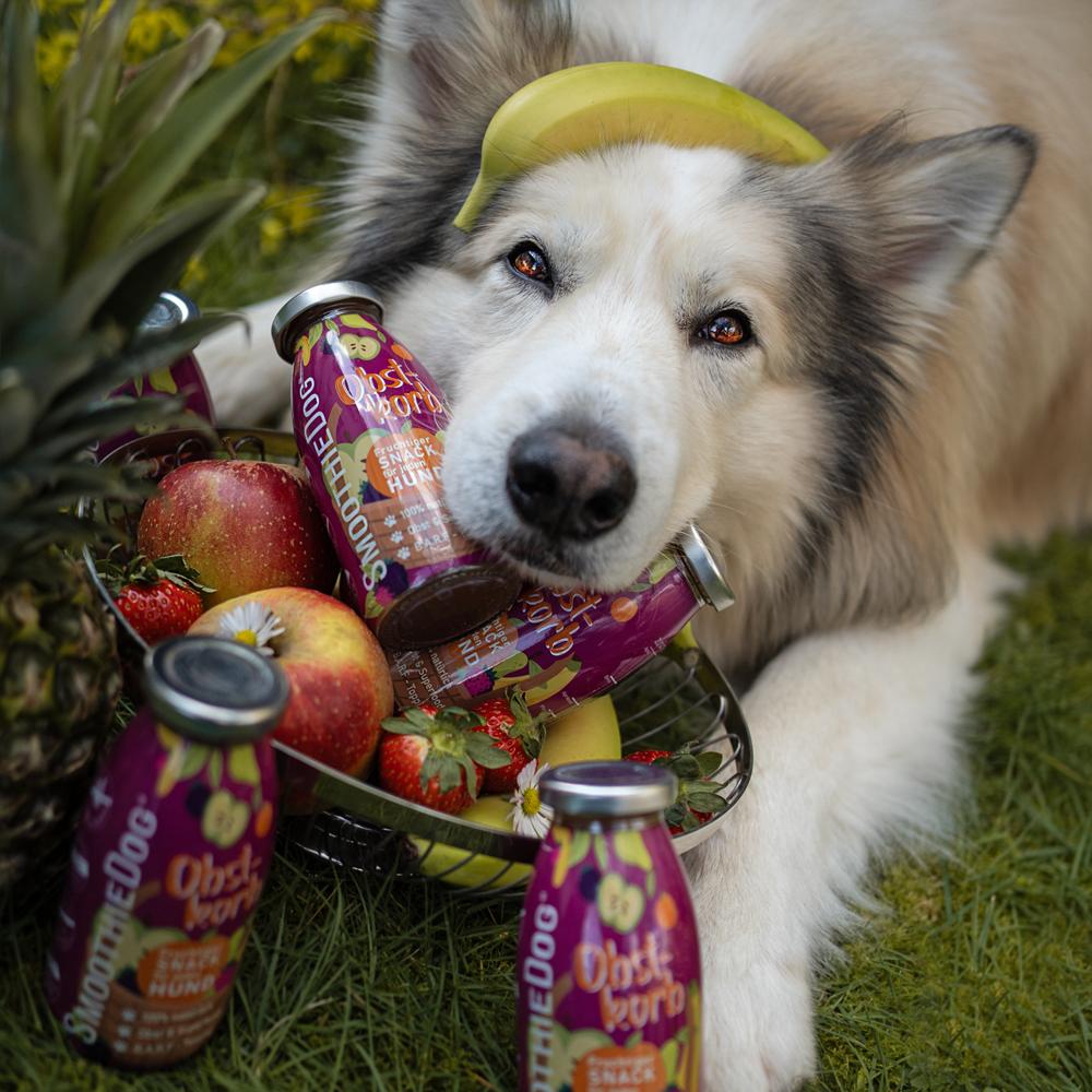 SmoothieDog Obstkorb Vegan