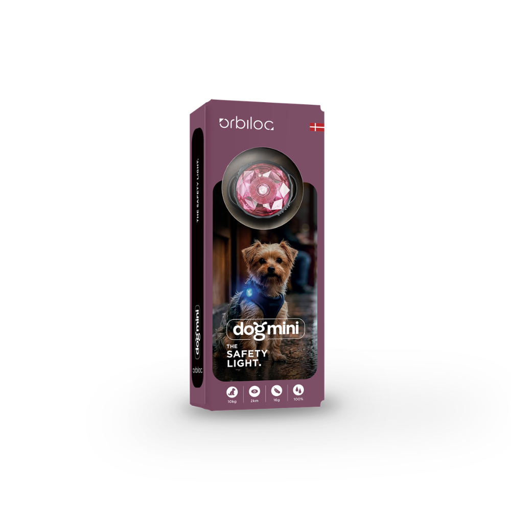 Orbiloc® Dog MINI LED Hundesicherheitslicht Blossom 