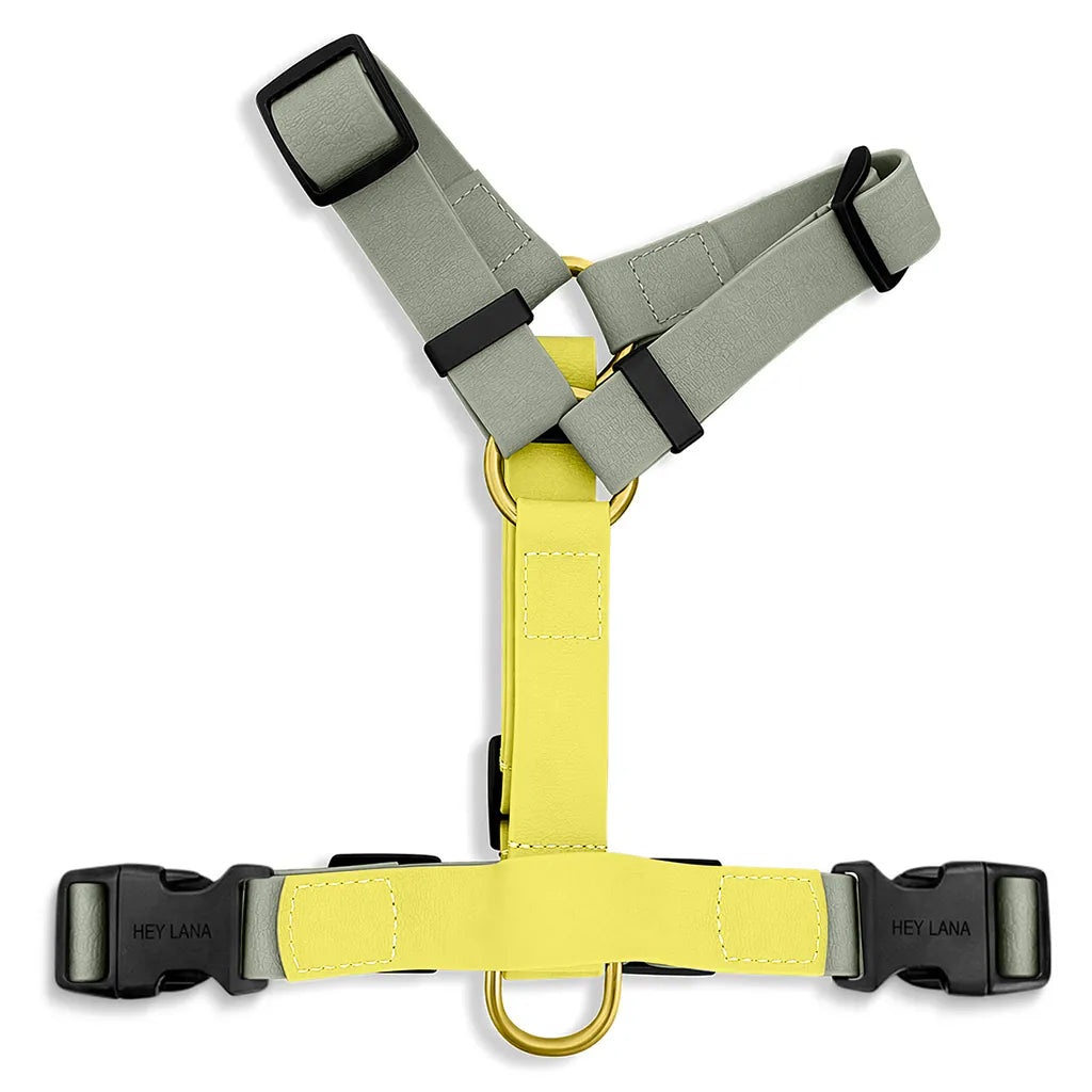 Geschirr Outdoor Lemon Seagras wasserfest 5-fach verstellbar