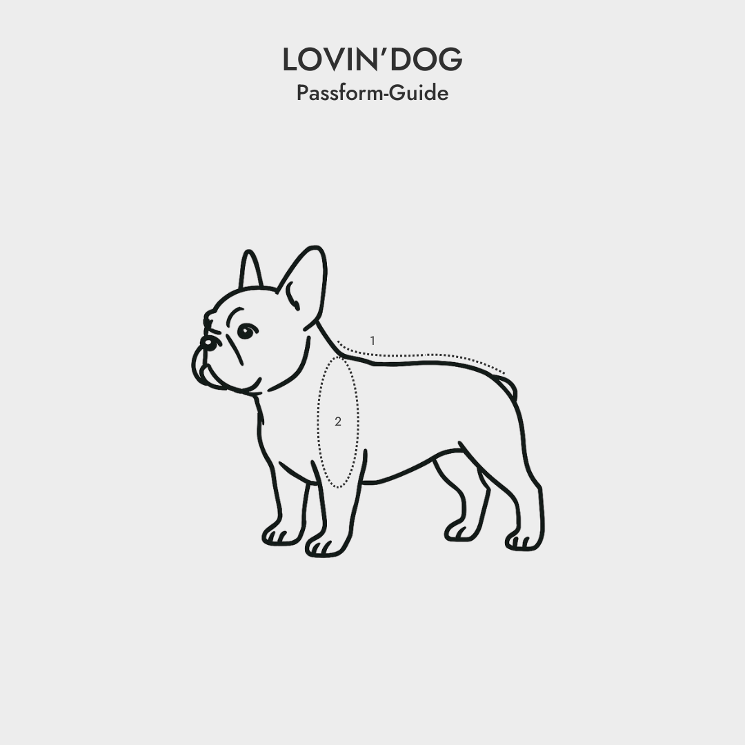 Passform Guide "Französische Bulldogge" Hund - LOVIN'DOG