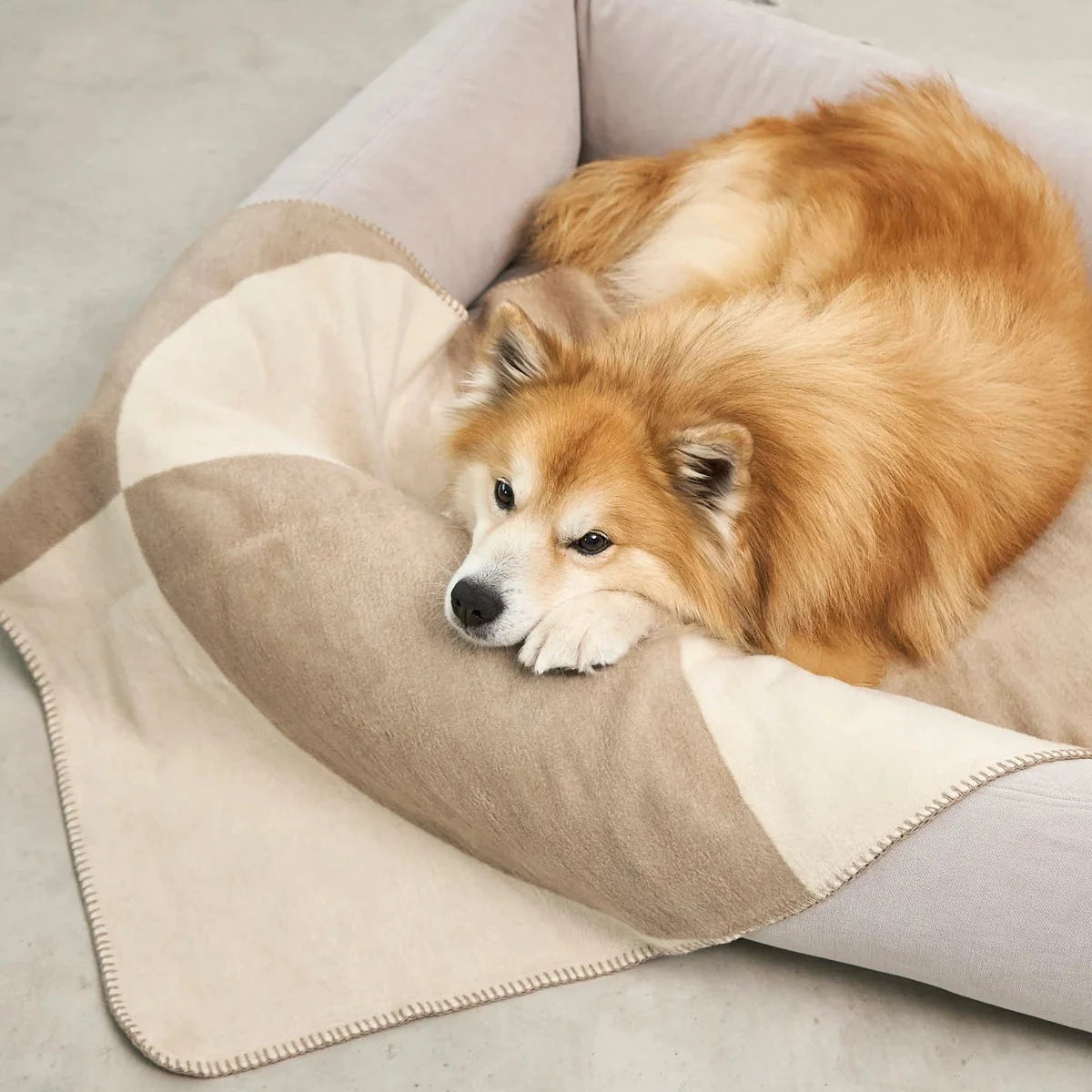 MiaCara Ponte Hundedecke Nougat