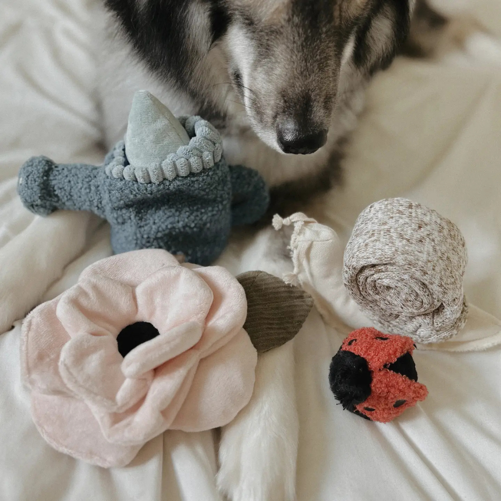 Schnüffelspielzeug POPPY Mohnblume mit anderen Hundespielzeugen - Lambwolf Collective