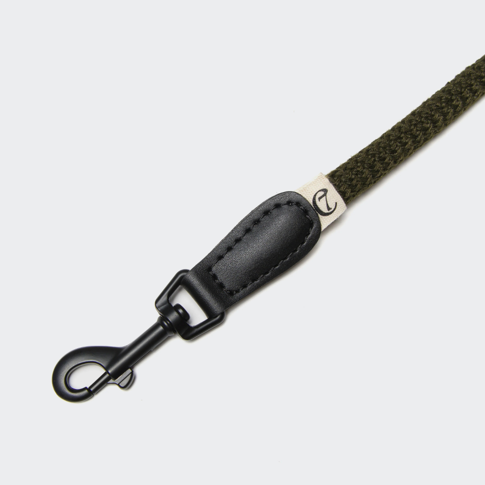 Schwarzer Karabiner Cloud7 Retrieverleine Mauerpark Olive