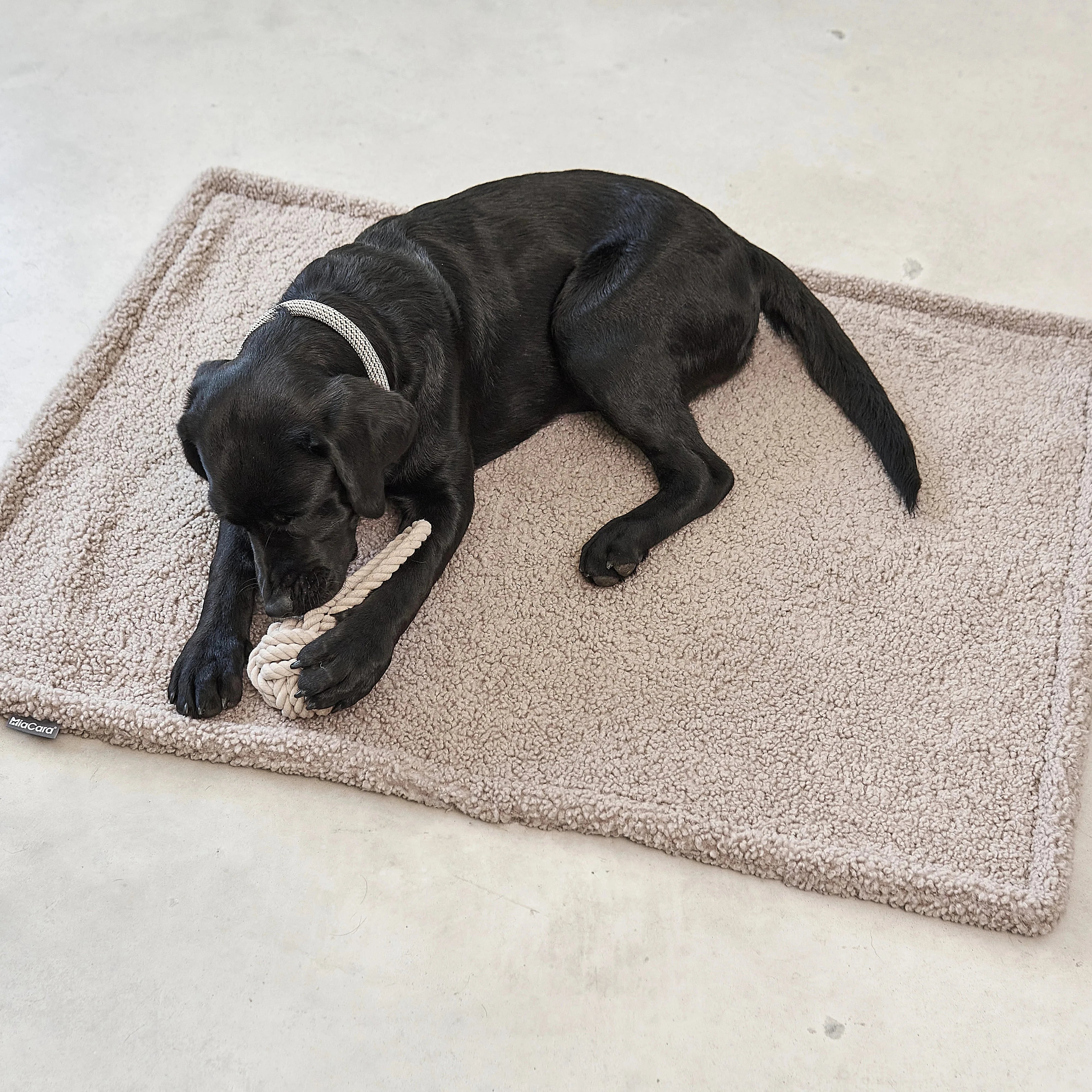 MiaCara Senso Hundedecke Greige