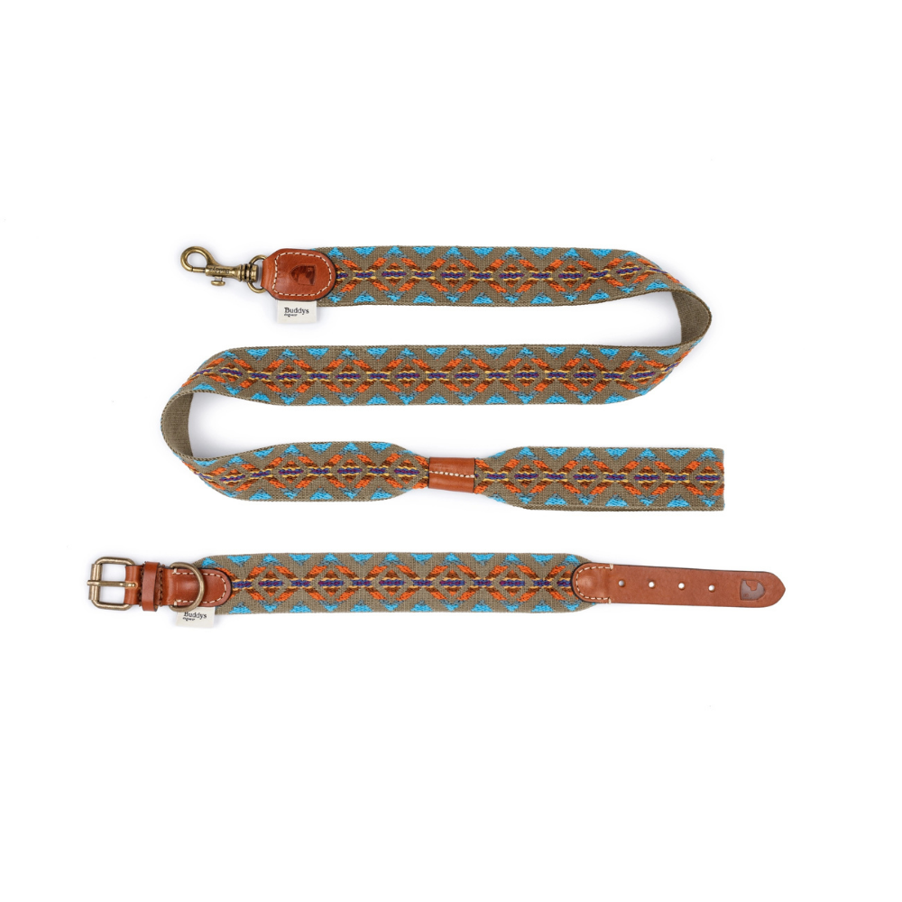 Set Hundeleine & Halsband ETNA Grün - Buddys Dogwear