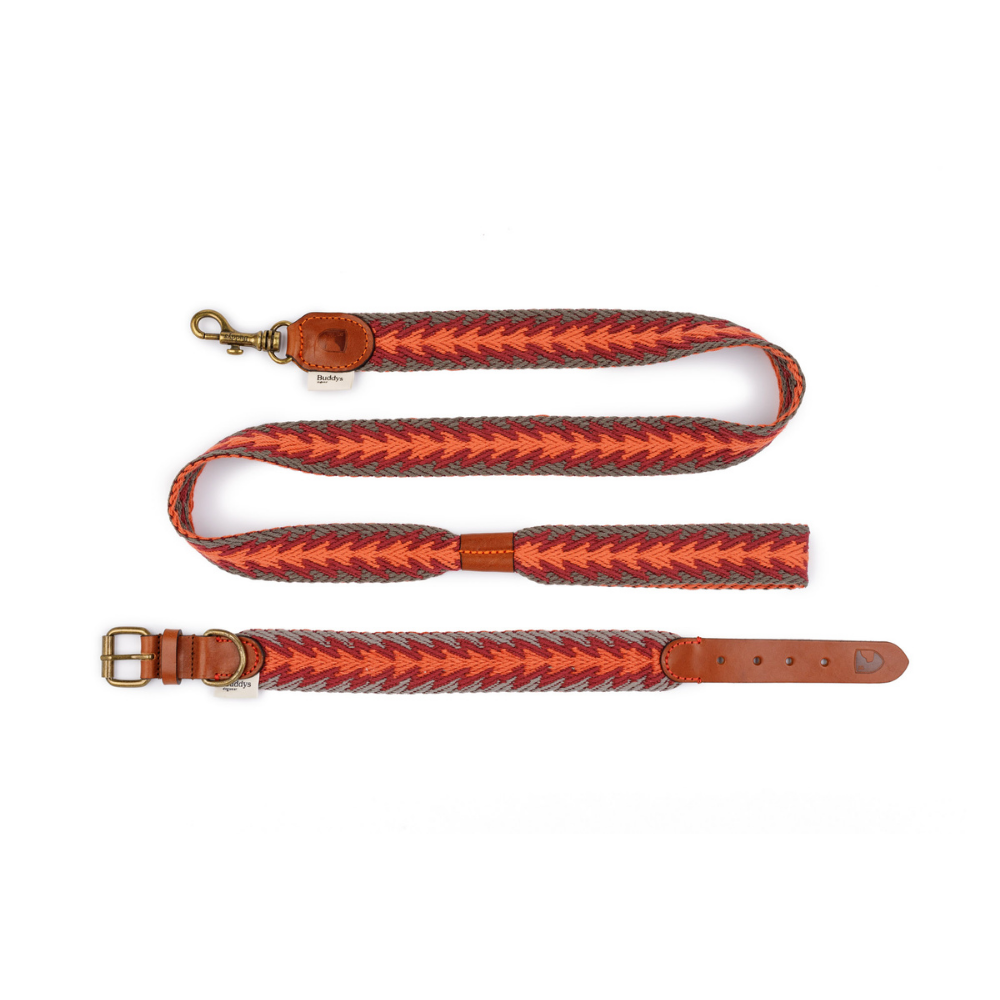 Set Hundeleine & Halsband Peruvian Arrow ORANGE - Buddys Dogwear