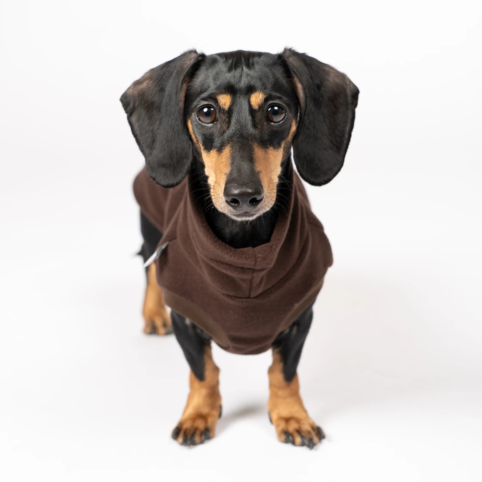 KARMA HUND Fleece Shirt für Dackel in Espresso