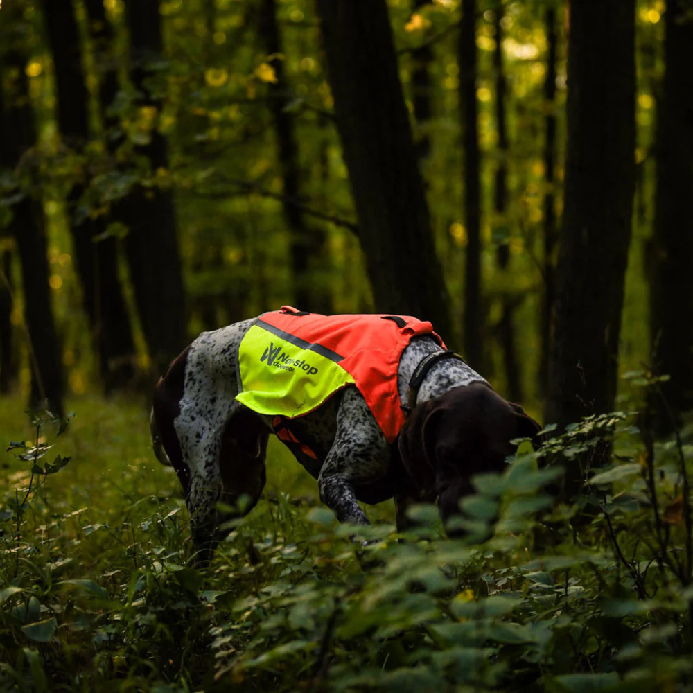 Signalfarben Tragebild Warnschutzweste Protector vest 2.0 Orange - non-stop dogwear
